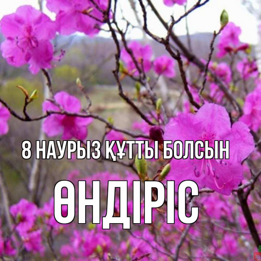 Күн сайын ашық хат с именем, ӨНДІРІС 8 наурыз құтты болсын международный женский день Онлайн тегін жүктеп алу тілектері бар керемет карта 