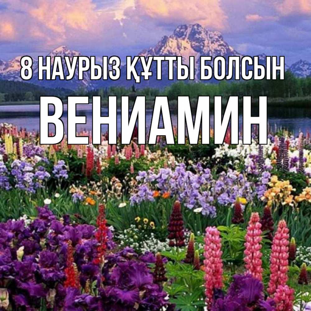 Күн сайын ашық хат с именем, Вениамин 8 наурыз құтты болсын международный женский день Онлайн тегін жүктеп алу тілектері бар керемет карта 