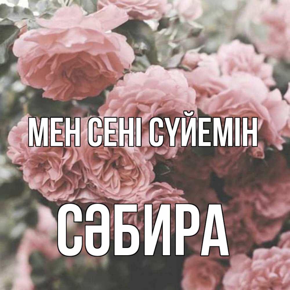 Күн сайын ашық хат с именем, СӘБИРА Мен сені сүйемін розы 3 Онлайн тегін жүктеп алу тілектері бар керемет карта 
