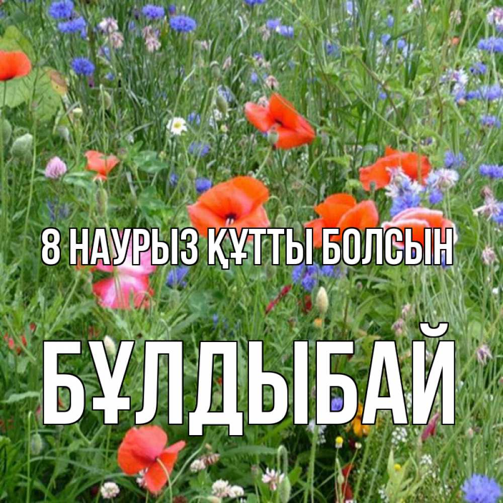 Күн сайын ашық хат с именем, Бұлдыбай 8 наурыз құтты болсын международный женский день 4 Онлайн тегін жүктеп алу тілектері бар керемет карта 