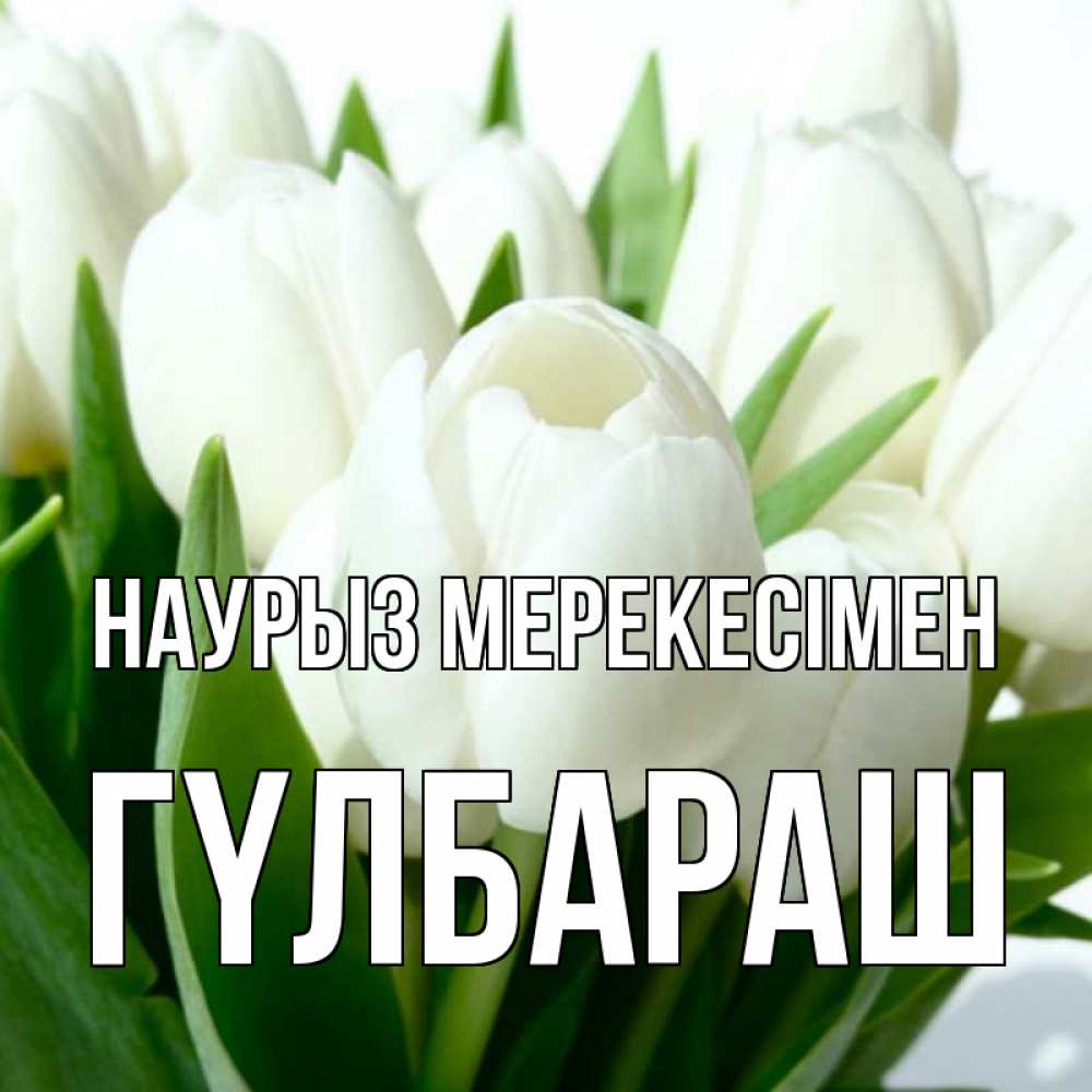 Күн сайын ашық хат с именем, ГҮЛБАРАШ Наурыз мерекесімен цветы Онлайн тегін жүктеп алу тілектері бар керемет карта 