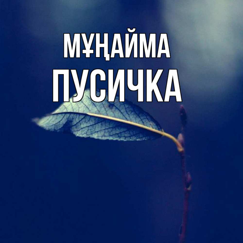 Күн сайын ашық хат с именем, Пусичка Мұңайма растение Онлайн тегін жүктеп алу тілектері бар керемет карта 