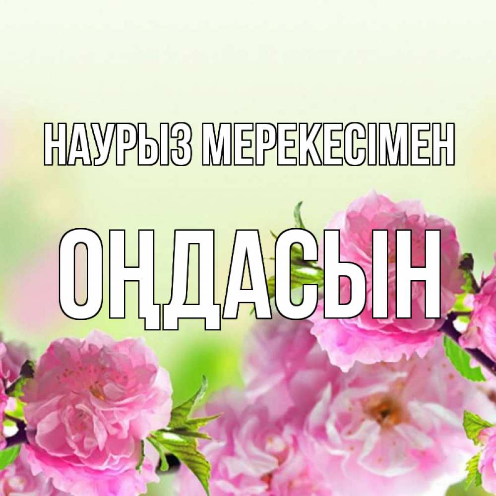 Күн сайын ашық хат с именем, ОҢДАСЫН Наурыз мерекесімен цветы Онлайн тегін жүктеп алу тілектері бар керемет карта 