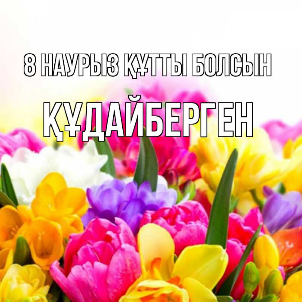 Күн сайын ашық хат с именем, ҚҰДАЙБЕРГЕН 8 наурыз құтты болсын тюльпаны Онлайн тегін жүктеп алу тілектері бар керемет карта 