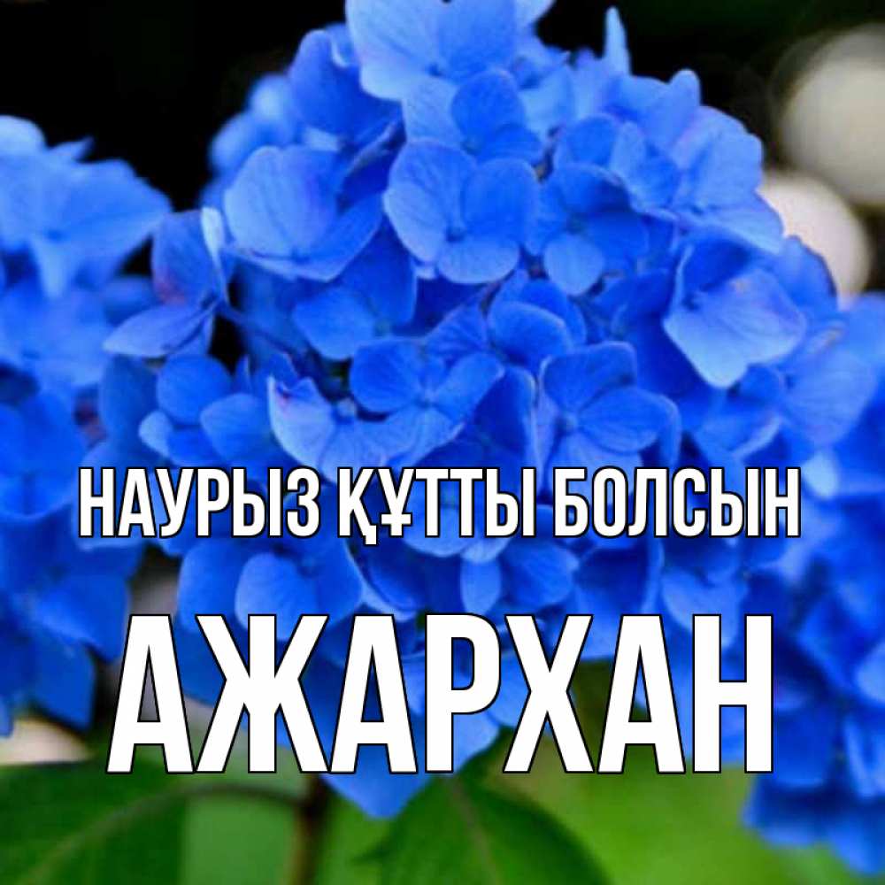 Күн сайын ашық хат с именем, АЖАРХАН Наурыз құтты болсын синие цветы Онлайн тегін жүктеп алу тілектері бар керемет карта 