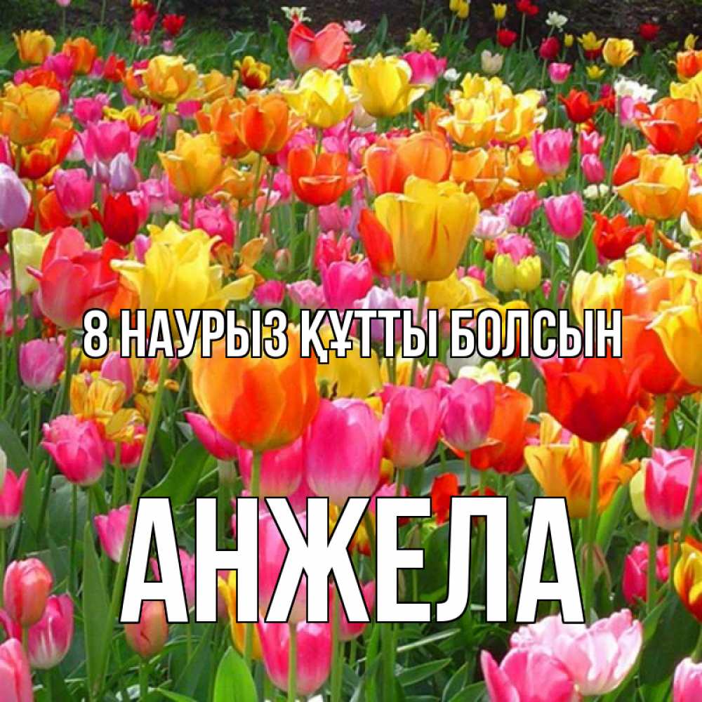 Күн сайын ашық хат с именем, Анжела 8 наурыз құтты болсын на международный женский день Онлайн тегін жүктеп алу тілектері бар керемет карта 