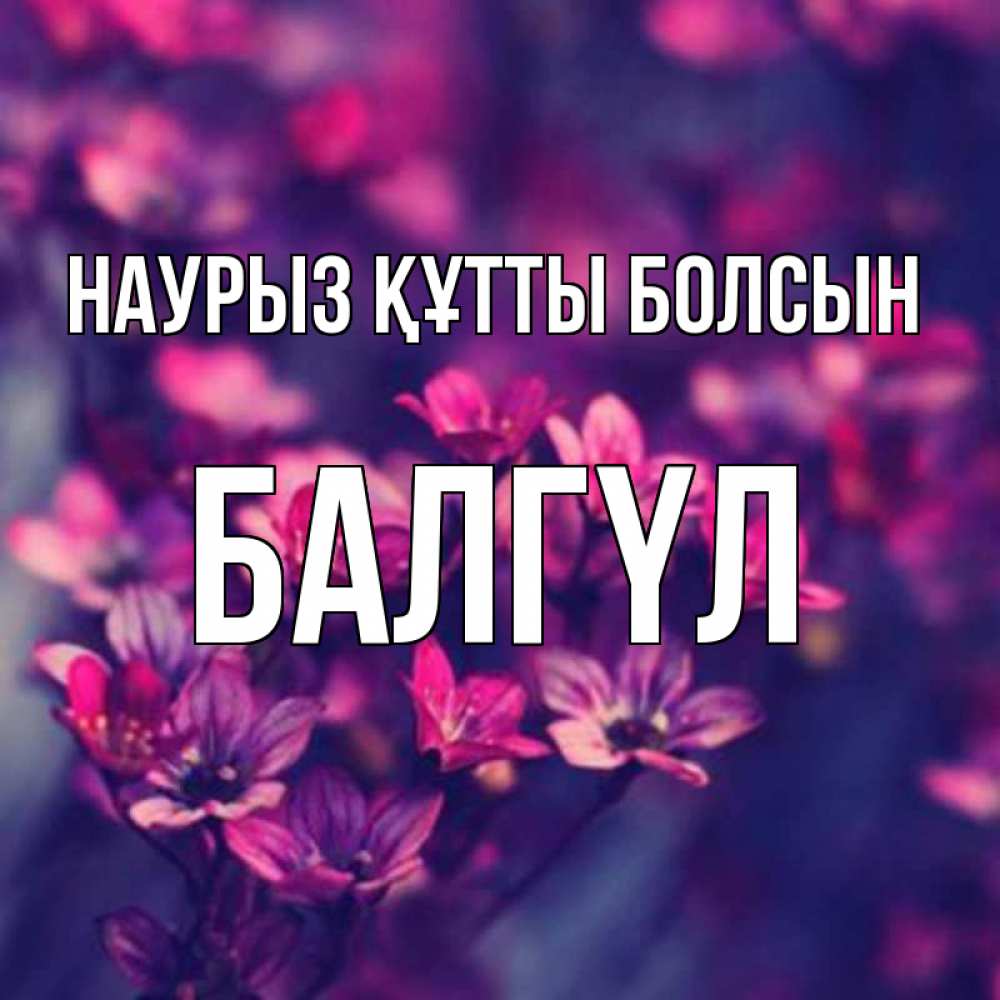 Күн сайын ашық хат с именем, БАЛГҮЛ Наурыз құтты болсын небольшие цветы 1 Онлайн тегін жүктеп алу тілектері бар керемет карта 
