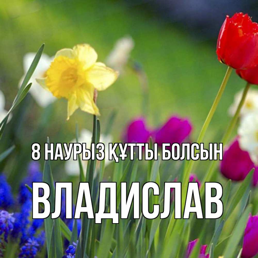 Күн сайын ашық хат с именем, Владислав 8 наурыз құтты болсын международный женский день 3 Онлайн тегін жүктеп алу тілектері бар керемет карта 