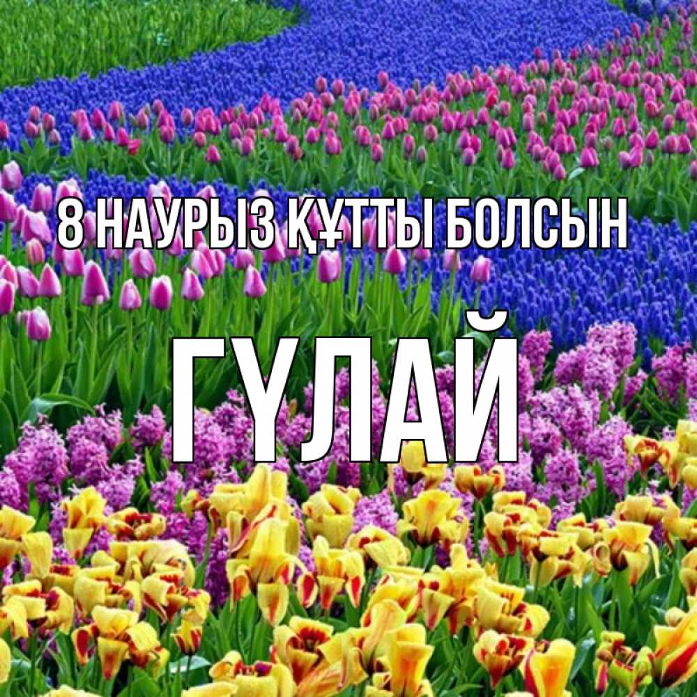 Күн сайын ашық хат с именем, ГҮЛАЙ 8 наурыз құтты болсын цветы Онлайн тегін жүктеп алу тілектері бар керемет карта 