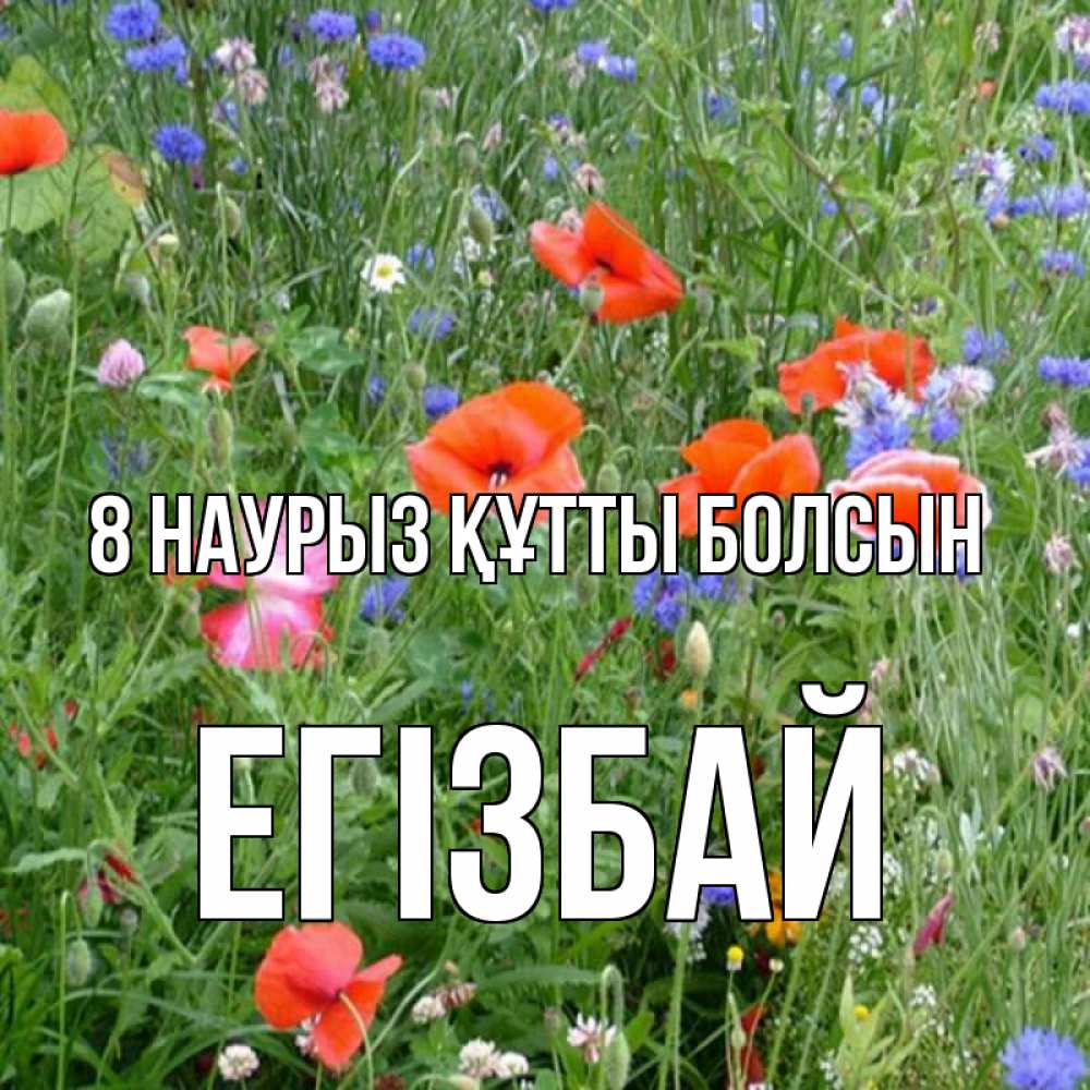 Күн сайын ашық хат с именем, Егізбай 8 наурыз құтты болсын международный женский день 4 Онлайн тегін жүктеп алу тілектері бар керемет карта 