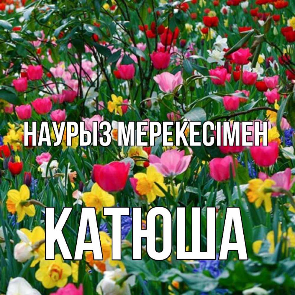 Күн сайын ашық хат с именем, Катюша Наурыз мерекесімен с наурызом праздником весны поздравления для женщины Онлайн тегін жүктеп алу тілектері бар керемет карта 