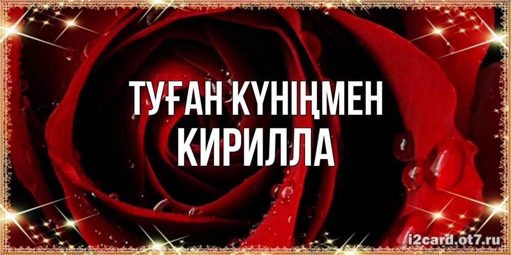 Күн сайын ашық хат с именем, Кирилла Туған күніңмен цветок в росе на день рождения Онлайн тегін жүктеп алу тілектері бар керемет карта 