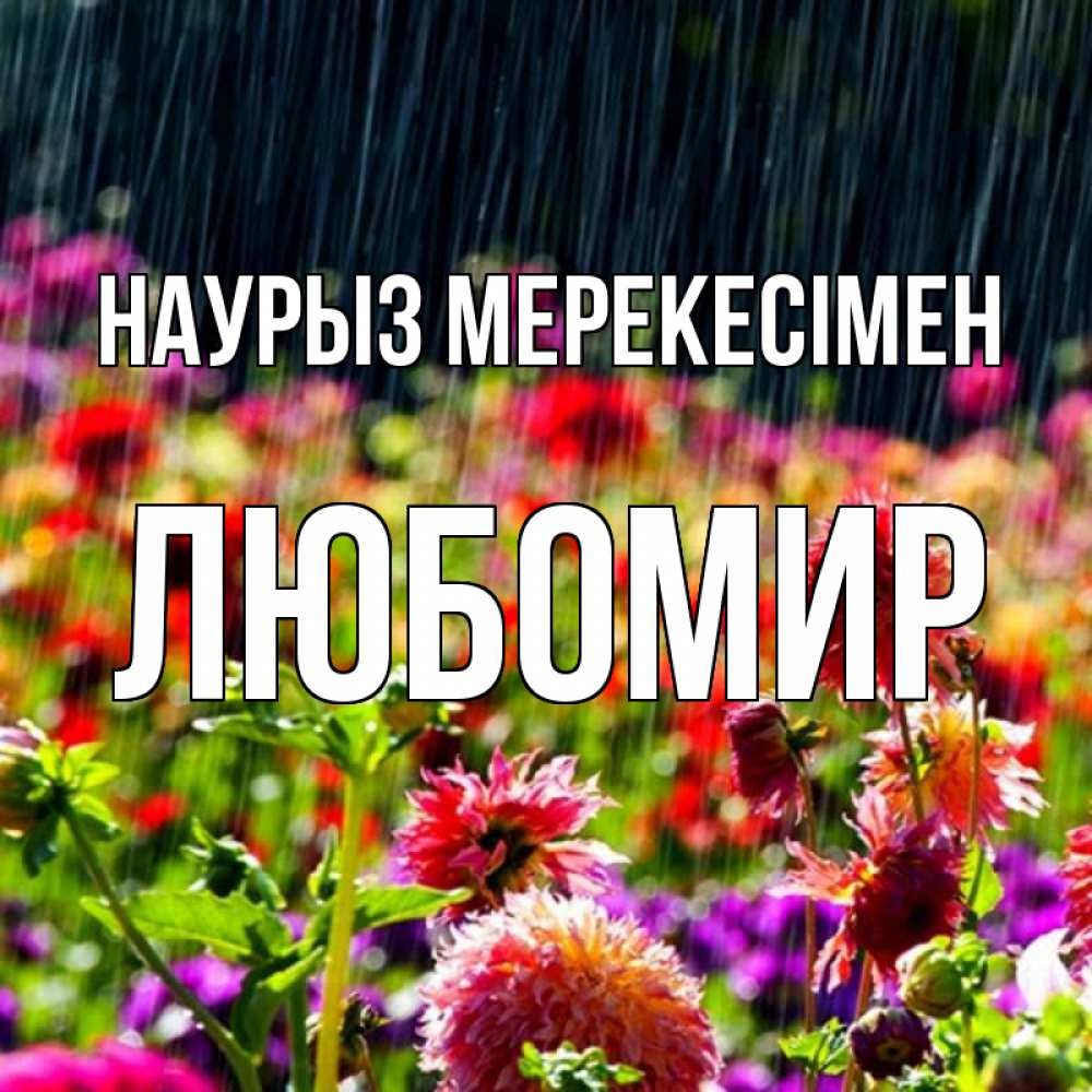 Күн сайын ашық хат с именем, Любомир Наурыз мерекесімен цветы под дождиком к международному женскому дню Онлайн тегін жүктеп алу тілектері бар керемет карта 