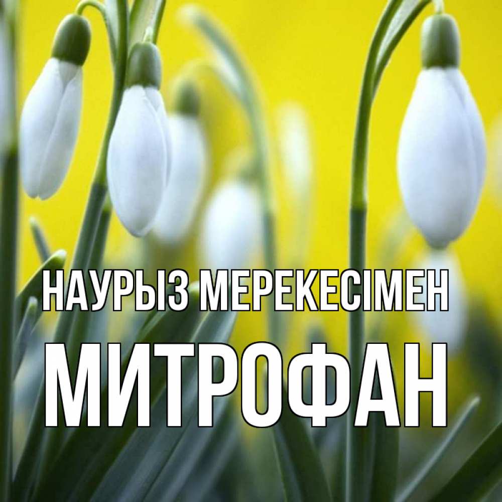Күн сайын ашық хат с именем, Митрофан Наурыз мерекесімен весенние цветы Онлайн тегін жүктеп алу тілектері бар керемет карта 