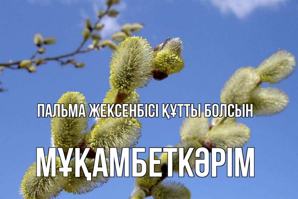 Күн сайын ашық хат с именем, Мұқамбеткәрім Пальма жексенбісі құтты болсын верба Онлайн тегін жүктеп алу тілектері бар керемет карта 