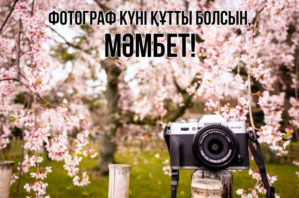 Күн сайын ашық хат с именем, МӘМБЕТ Фотограф күні құтты болсын сирень с днем фотографа, фотоаппарат Онлайн тегін жүктеп алу тілектері бар керемет карта 