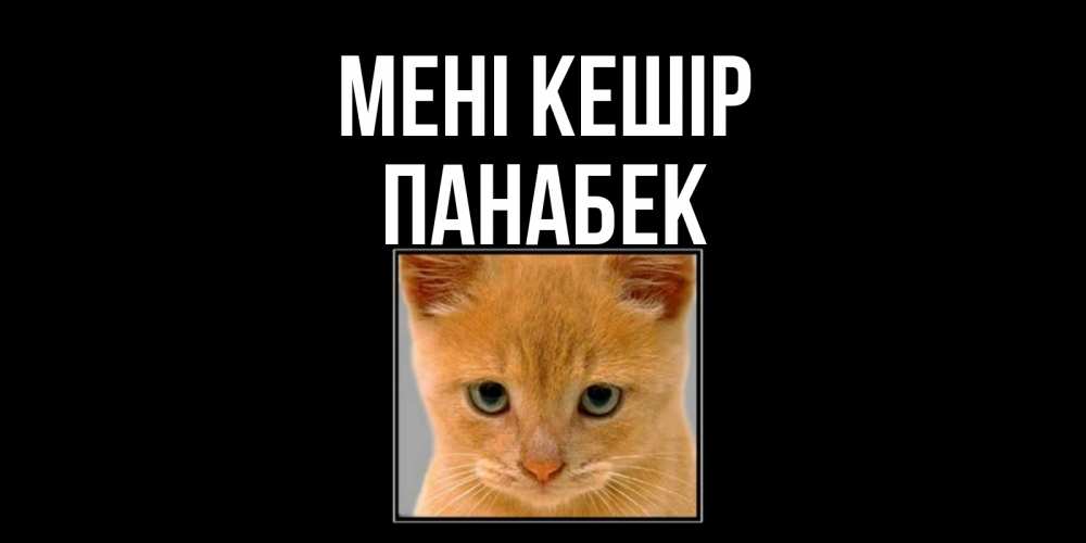 Күн сайын ашық хат с именем, ПАНАБЕК Мені кешір рыжий грустный кот просит прощения Онлайн тегін жүктеп алу тілектері бар керемет карта 