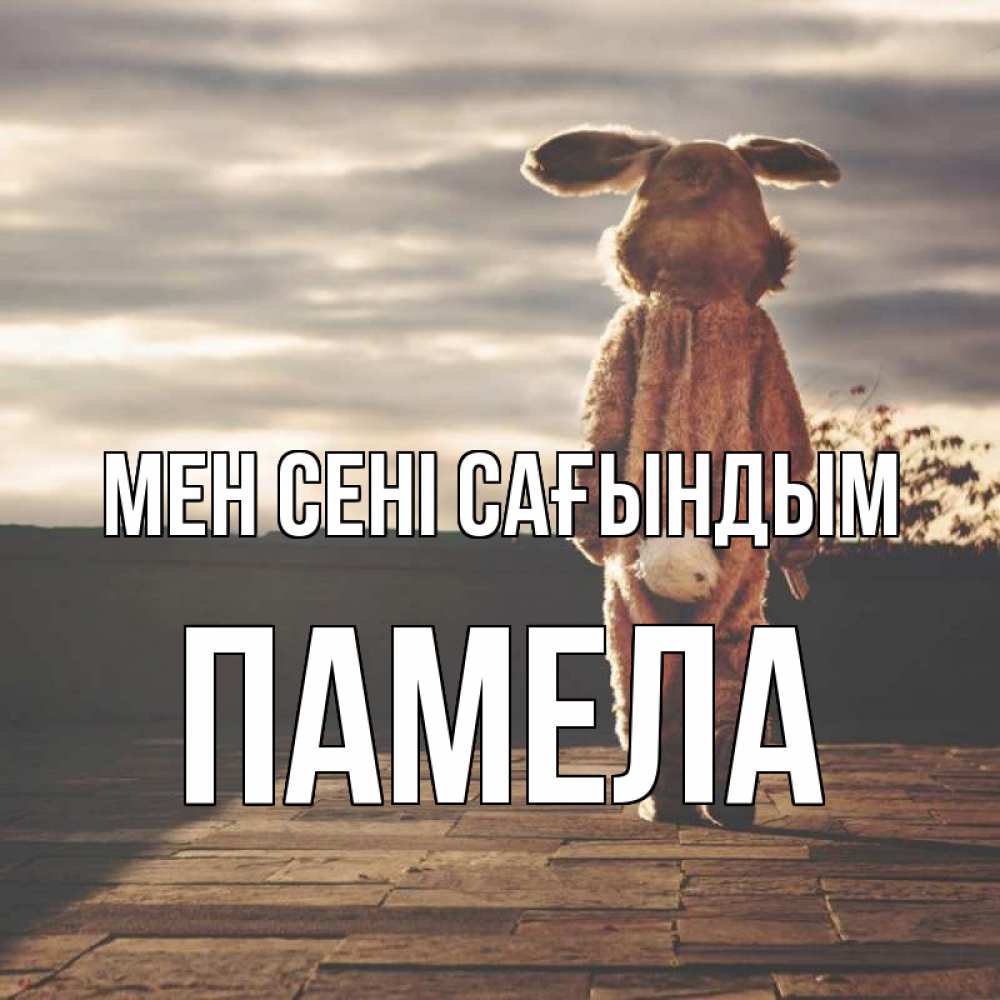 Күн сайын ашық хат с именем, Памела Мен сені сағындым даже в костюме зайца Онлайн тегін жүктеп алу тілектері бар керемет карта 