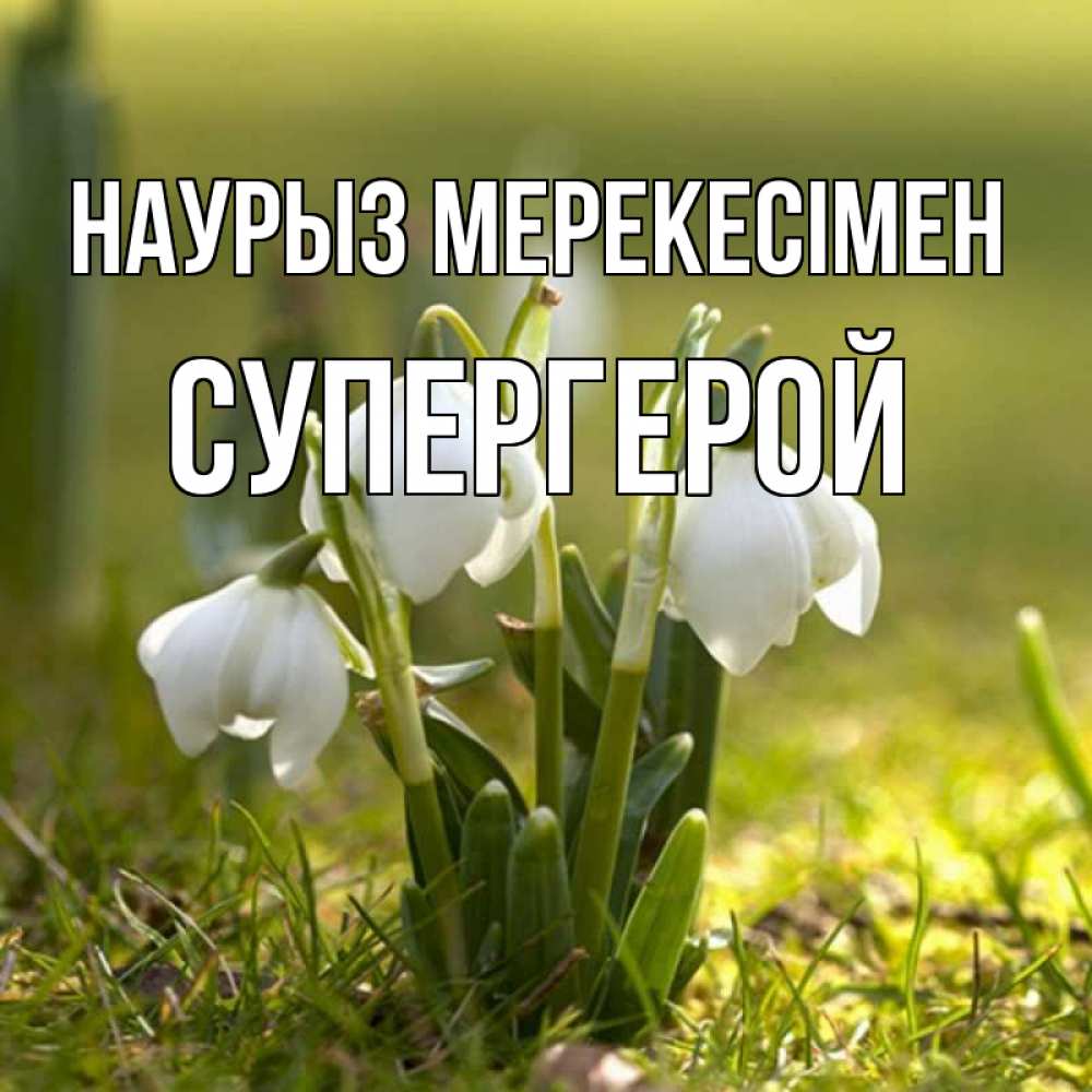 Күн сайын ашық хат с именем, Супергерой Наурыз мерекесімен ранние цветы 2 Онлайн тегін жүктеп алу тілектері бар керемет карта 