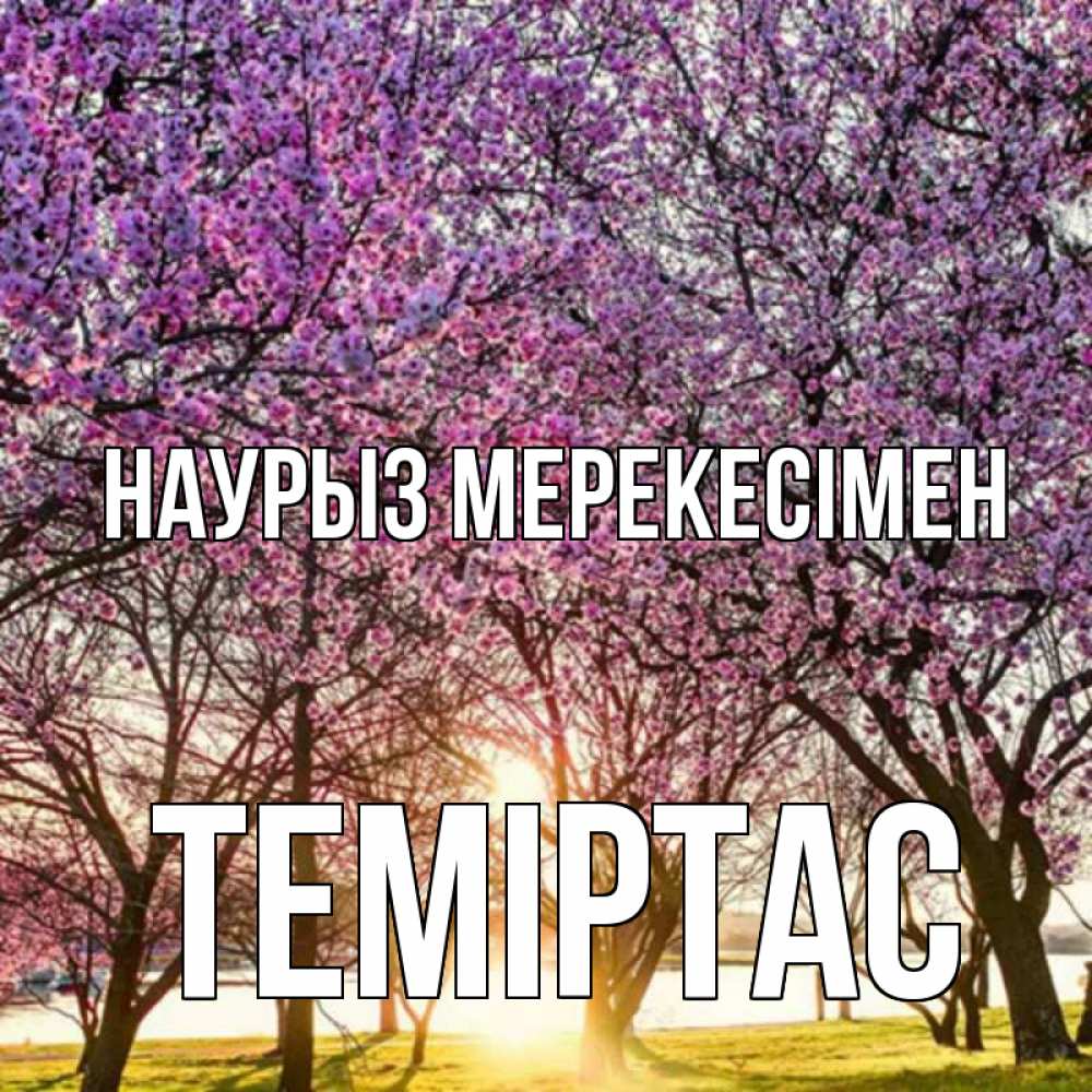 Күн сайын ашық хат с именем, ТЕМІРТАС Наурыз мерекесімен праздник весны наурыз Онлайн тегін жүктеп алу тілектері бар керемет карта 