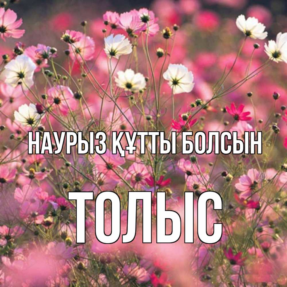 Күн сайын ашық хат с именем, ТОЛЫС Наурыз құтты болсын красиво 1 Онлайн тегін жүктеп алу тілектері бар керемет карта 