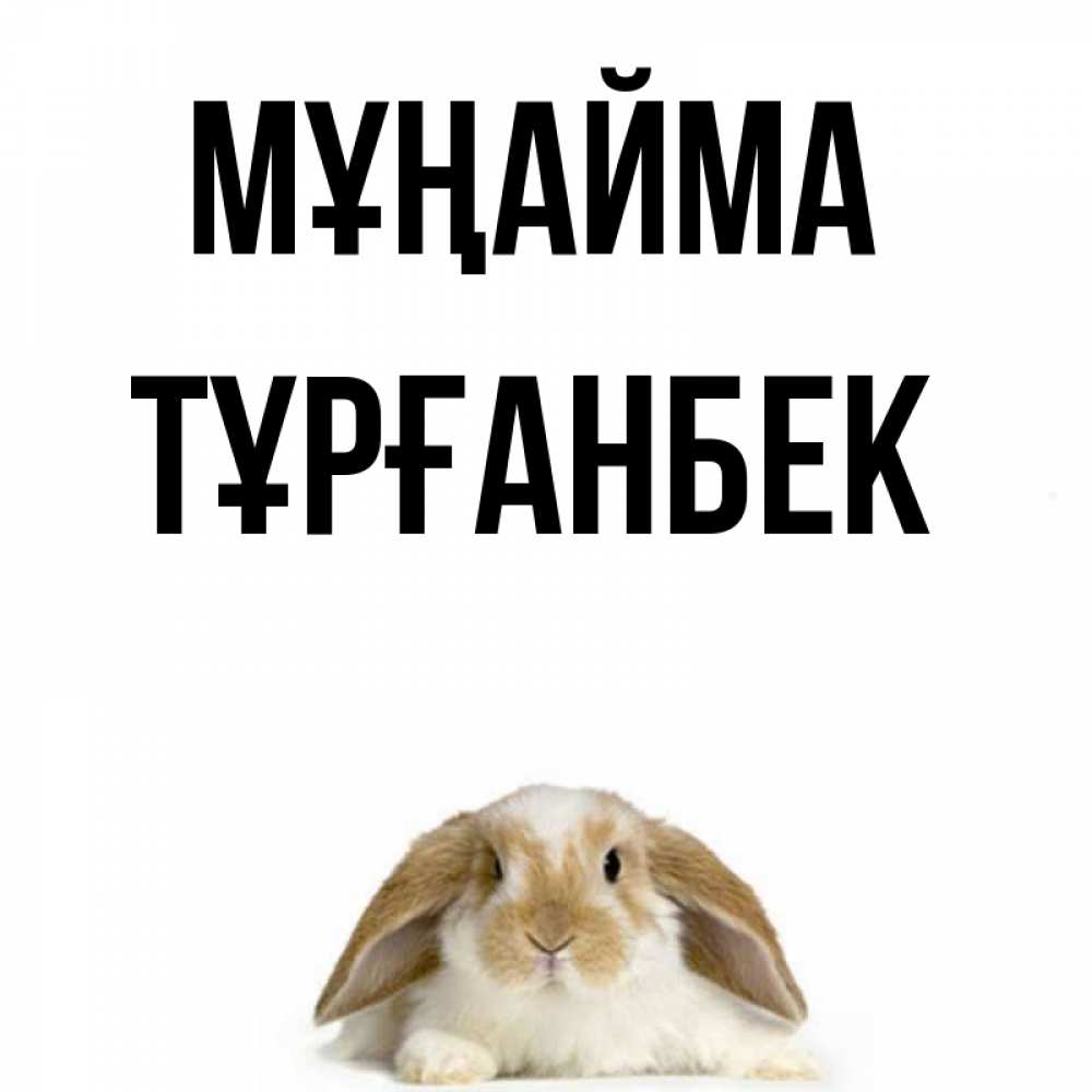Күн сайын ашық хат с именем, ТҰРҒАНБЕК Мұңайма коричнево белый заяц с большими ушками Онлайн тегін жүктеп алу тілектері бар керемет карта 