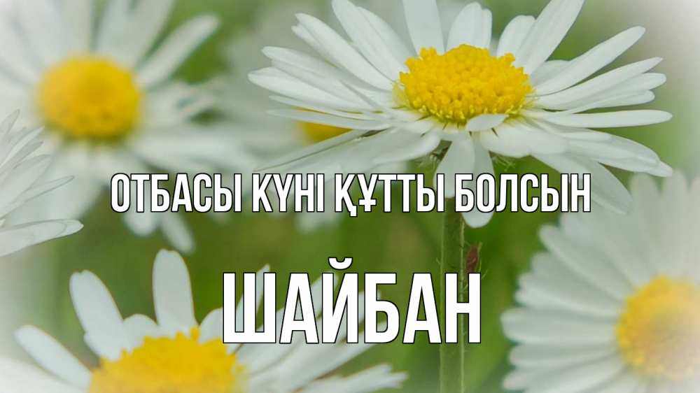 Күн сайын ашық хат с именем, ШАЙБАН отбасы күні құтты болсын с днем семьи  1 Онлайн тегін жүктеп алу тілектері бар керемет карта 