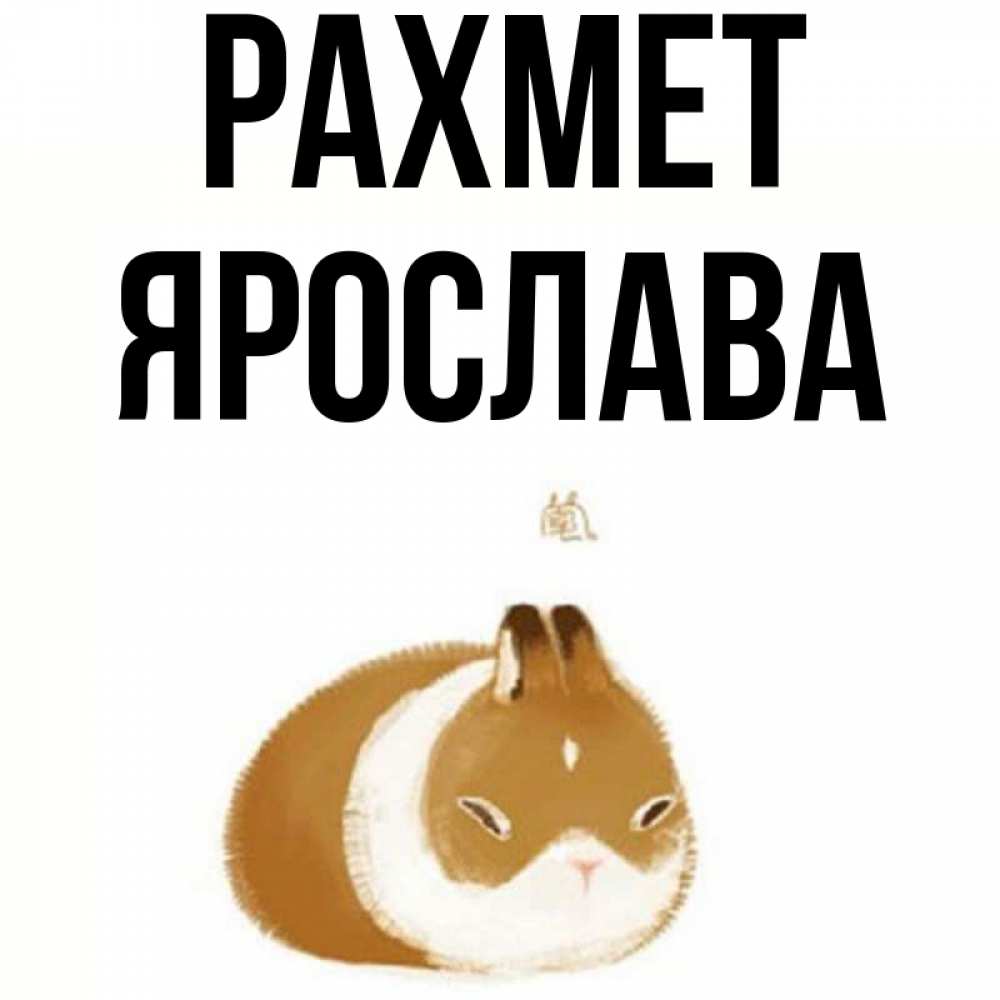 Күн сайын ашық хат с именем, Ярослава рахмет коричнево белый домашний питомец Онлайн тегін жүктеп алу тілектері бар керемет карта 