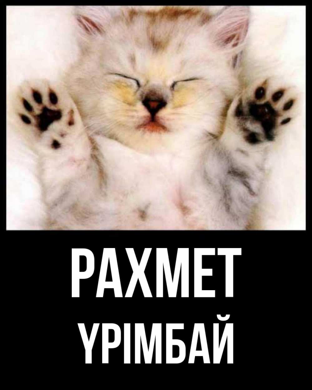 Күн сайын ашық хат с именем, ҮРІМБАЙ рахмет маленький котенок Онлайн тегін жүктеп алу тілектері бар керемет карта 