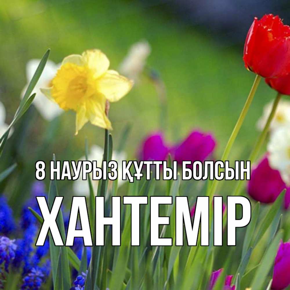 Күн сайын ашық хат с именем, ХАНТЕМІР 8 наурыз құтты болсын международный женский день 3 Онлайн тегін жүктеп алу тілектері бар керемет карта 