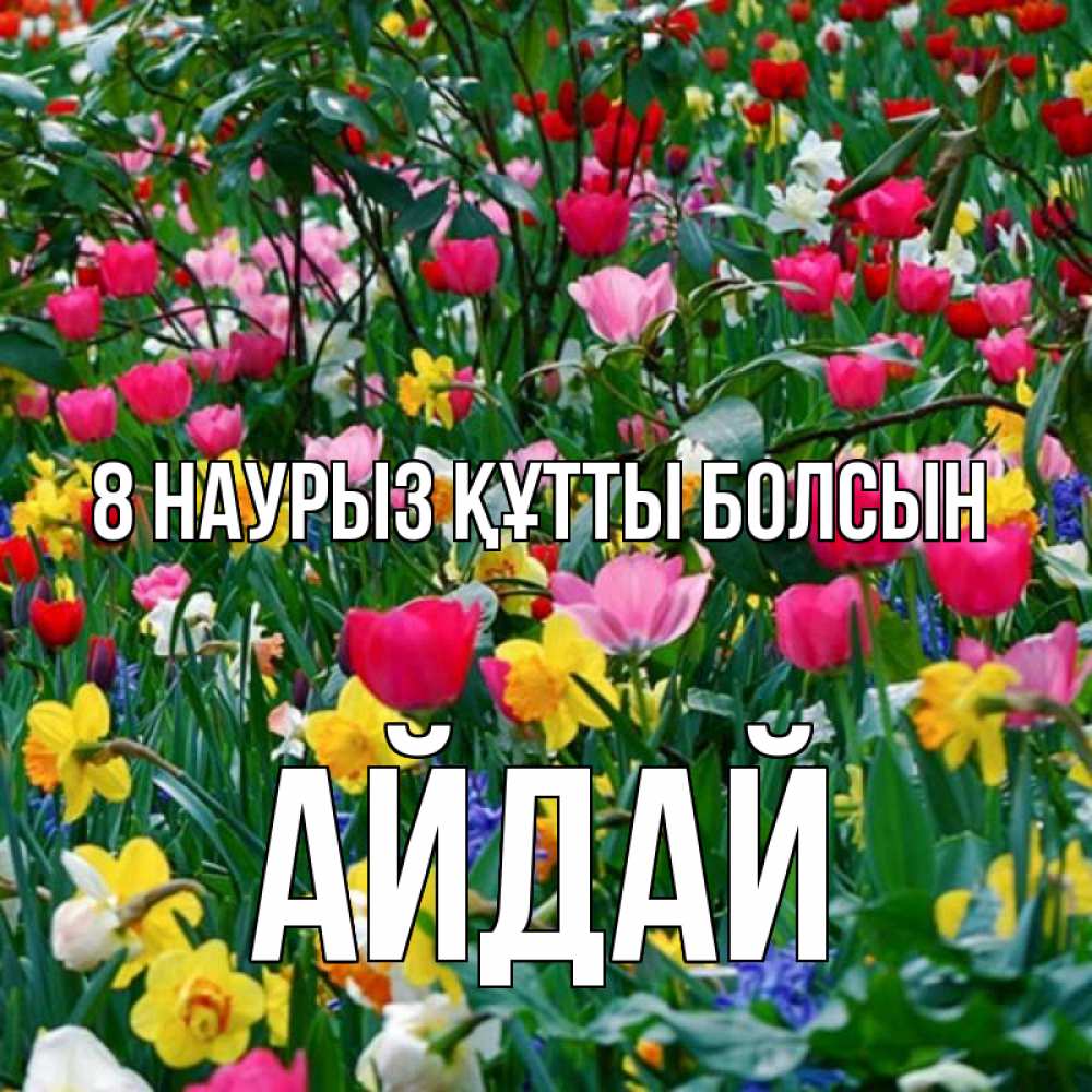 Күн сайын ашық хат с именем, АЙДАЙ 8 наурыз құтты болсын с международным женским днем поздравления для женщины Онлайн тегін жүктеп алу тілектері бар керемет карта 
