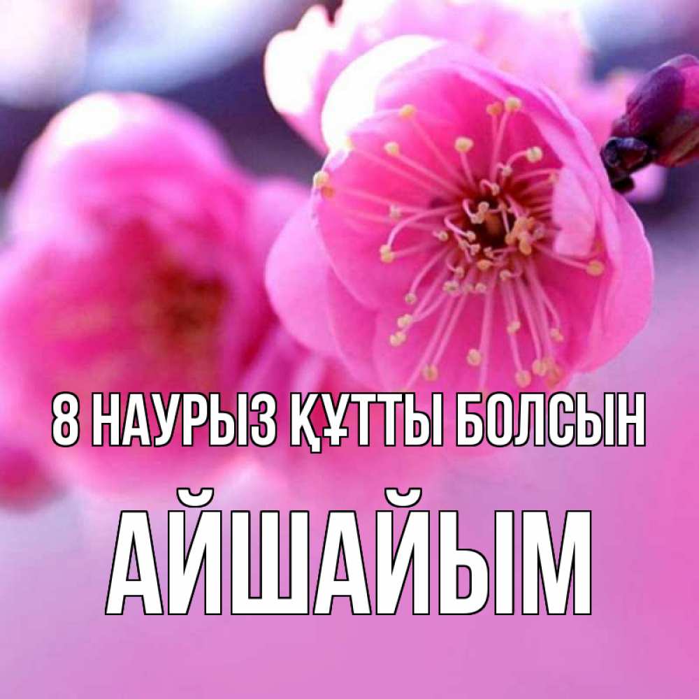 Күн сайын ашық хат с именем, АЙШАЙЫМ 8 наурыз құтты болсын международный женский день Онлайн тегін жүктеп алу тілектері бар керемет карта 