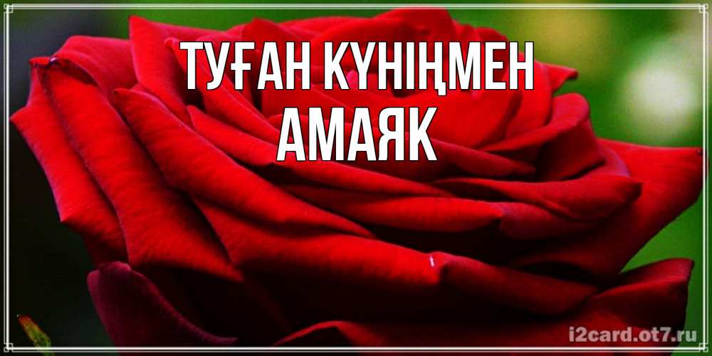 Күн сайын ашық хат с именем, Амаяк Туған күніңмен розочка очень красивая Онлайн тегін жүктеп алу тілектері бар керемет карта 
