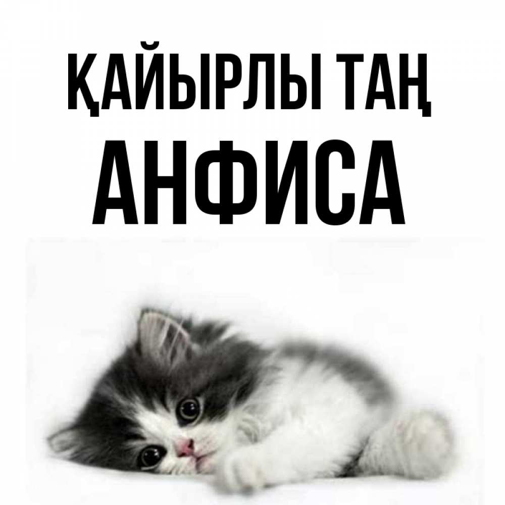 Күн сайын ашық хат с именем, Анфиса Қайырлы таң кот лапки Онлайн тегін жүктеп алу тілектері бар керемет карта 