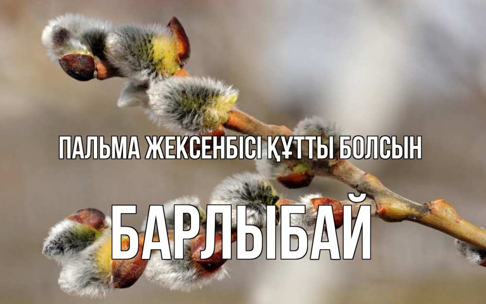 Күн сайын ашық хат с именем, Барлыбай Пальма жексенбісі құтты болсын Верба Онлайн тегін жүктеп алу тілектері бар керемет карта 