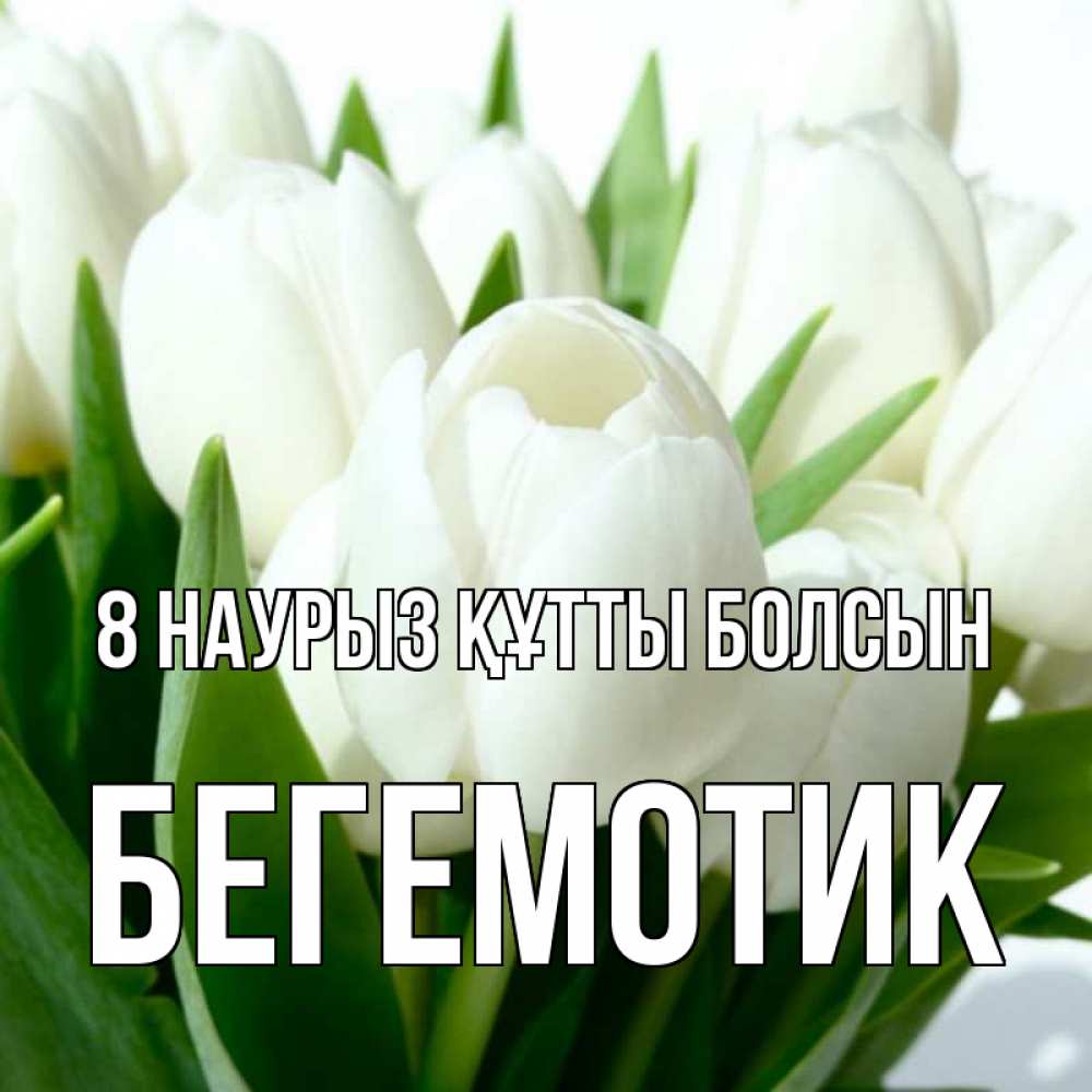 Күн сайын ашық хат с именем, Бегемотик 8 наурыз құтты болсын цветы Онлайн тегін жүктеп алу тілектері бар керемет карта 