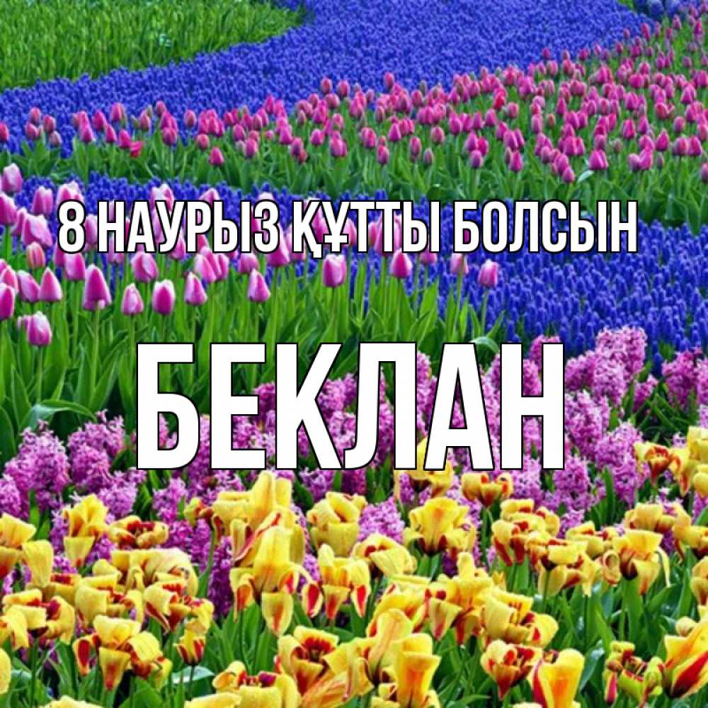 Күн сайын ашық хат с именем, Беклан 8 наурыз құтты болсын цветы Онлайн тегін жүктеп алу тілектері бар керемет карта 