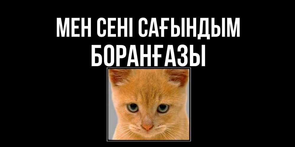 Күн сайын ашық хат с именем, Боранғазы Мен сені сағындым открытки рыжий котенок скучает по тебе Онлайн тегін жүктеп алу тілектері бар керемет карта 