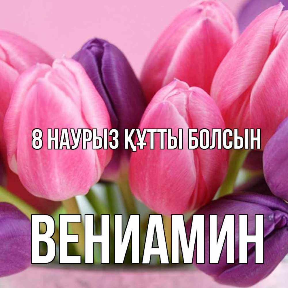 Күн сайын ашық хат с именем, Вениамин 8 наурыз құтты болсын маме 1 Онлайн тегін жүктеп алу тілектері бар керемет карта 