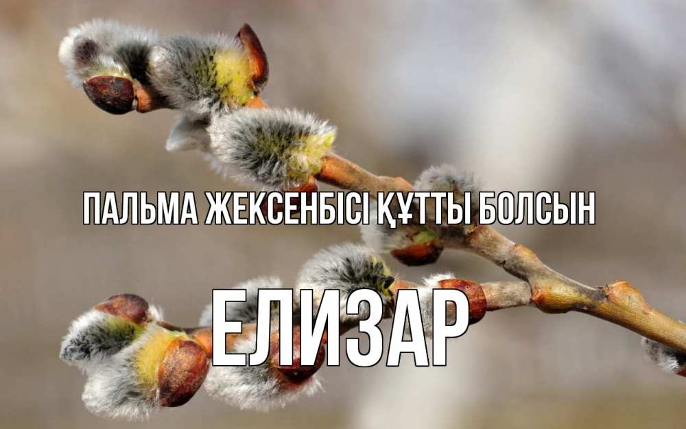 Күн сайын ашық хат с именем, Елизар Пальма жексенбісі құтты болсын Верба Онлайн тегін жүктеп алу тілектері бар керемет карта 