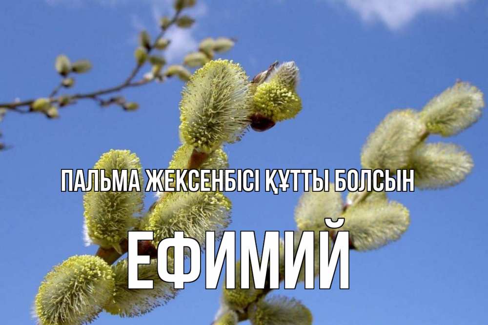Күн сайын ашық хат с именем, Ефимий Пальма жексенбісі құтты болсын верба Онлайн тегін жүктеп алу тілектері бар керемет карта 