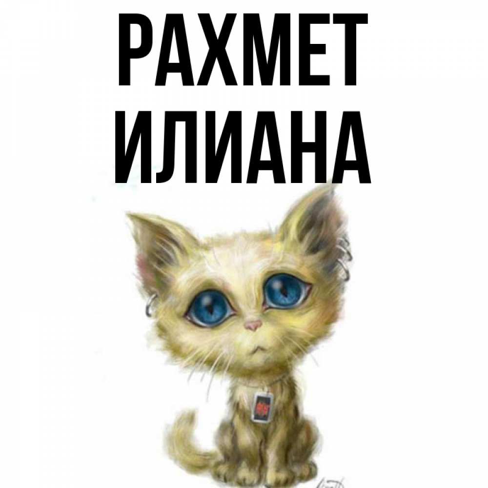 Күн сайын ашық хат с именем, Илиана рахмет рисованный кот благодарит вас Онлайн тегін жүктеп алу тілектері бар керемет карта 