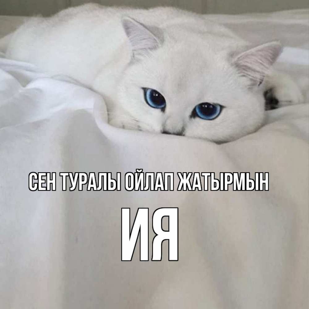 Күн сайын ашық хат с именем, Ия Сен туралы ойлап жатырмын я очень по тебе скучаю и тоскую Онлайн тегін жүктеп алу тілектері бар керемет карта 