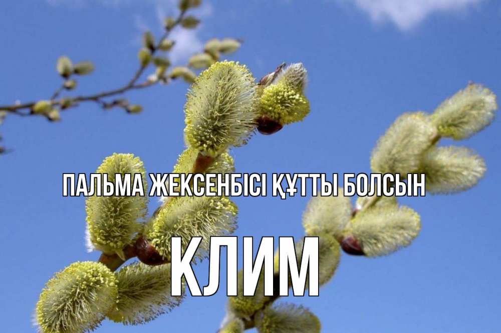 Күн сайын ашық хат с именем, Клим Пальма жексенбісі құтты болсын верба Онлайн тегін жүктеп алу тілектері бар керемет карта 