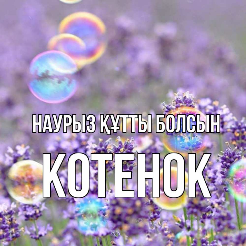 Күн сайын ашық хат с именем, Котенок Наурыз құтты болсын цветы Онлайн тегін жүктеп алу тілектері бар керемет карта 