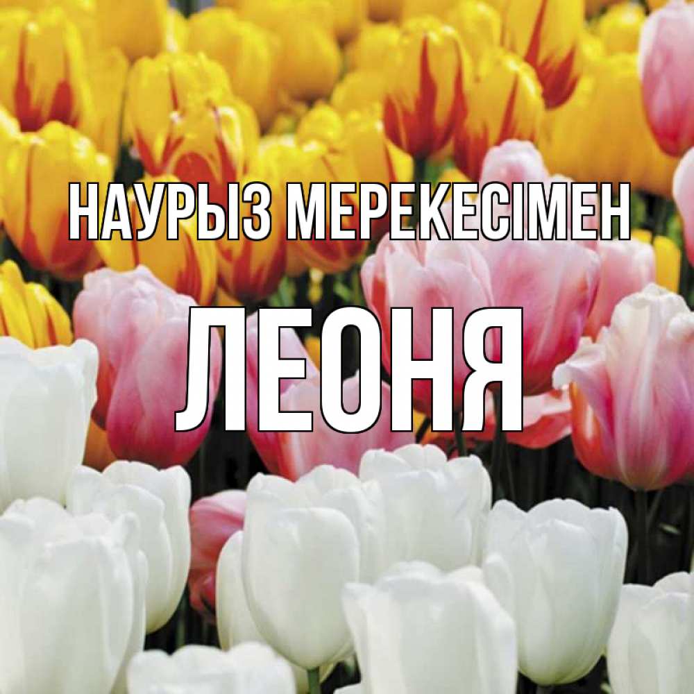 Күн сайын ашық хат с именем, Леоня Наурыз мерекесімен разноцветные цветы Онлайн тегін жүктеп алу тілектері бар керемет карта 