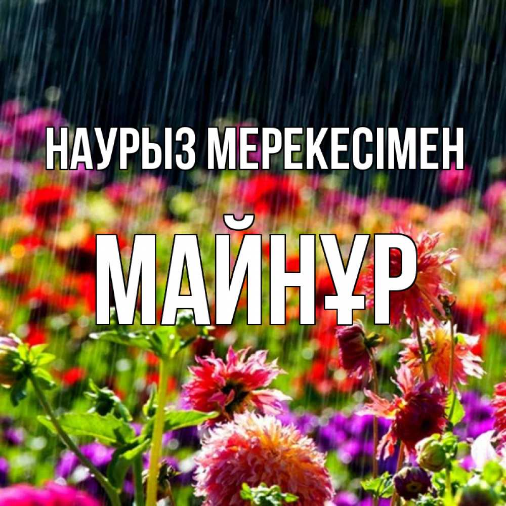 Күн сайын ашық хат с именем, МАЙНҰР Наурыз мерекесімен цветы под дождиком к международному женскому дню Онлайн тегін жүктеп алу тілектері бар керемет карта 