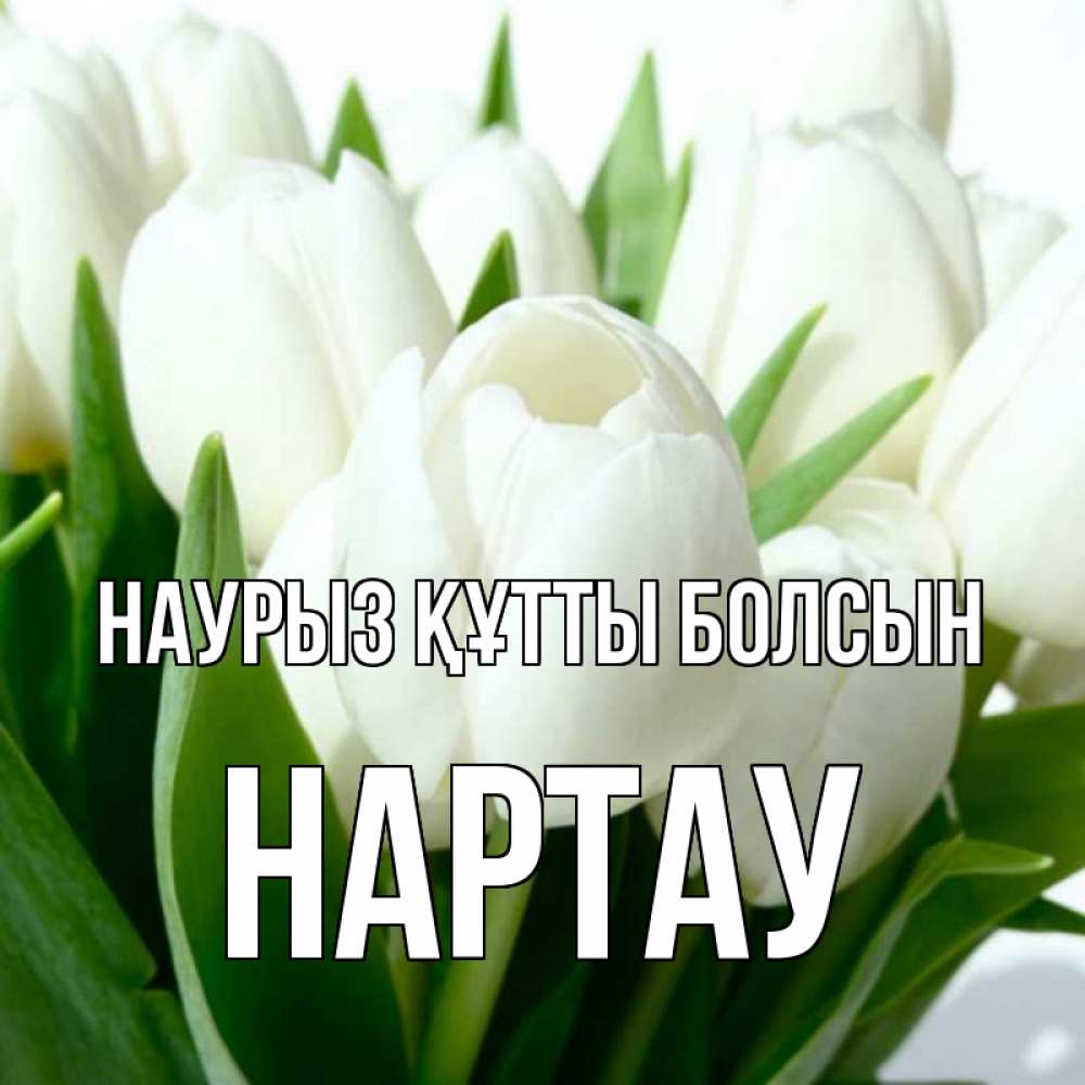 Күн сайын ашық хат с именем, НАРТАУ Наурыз құтты болсын цветы Онлайн тегін жүктеп алу тілектері бар керемет карта 
