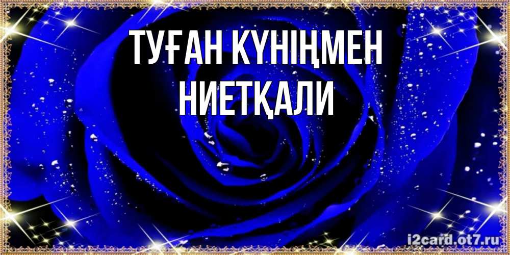 Күн сайын ашық хат с именем, НИЕТҚАЛИ Туған күніңмен голубые цветы в росе Онлайн тегін жүктеп алу тілектері бар керемет карта 