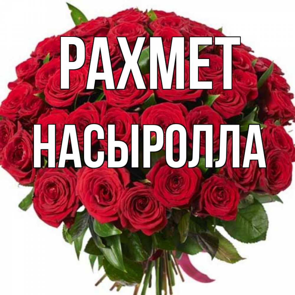 Күн сайын ашық хат с именем, Насыролла рахмет букет красных роз Онлайн тегін жүктеп алу тілектері бар керемет карта 